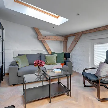Modern Attic - Cozy Floor By Lion *