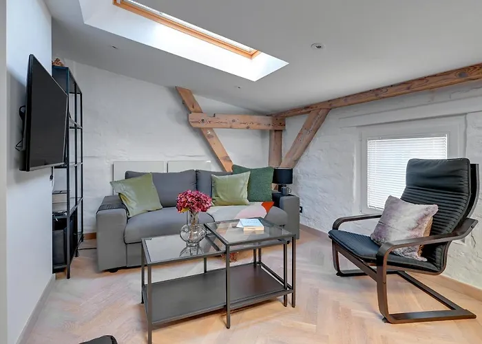 Modern Attic - Cozy Floor By Lion *